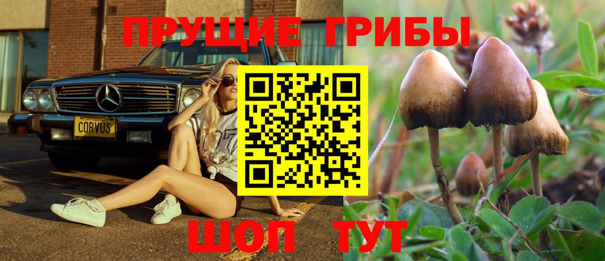 Псилоцибиновые грибы Psilocybine cubensis Джанкой